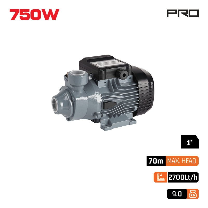 PERIPHERAL PUMP 750W