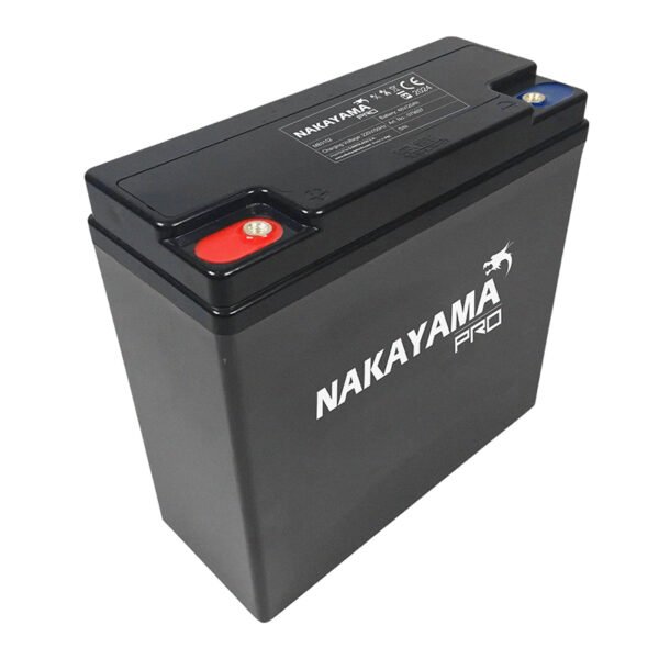 BATTERY 48V (4x12) 20Ah (suitable for BWR2600, MB3150, BWR2650)